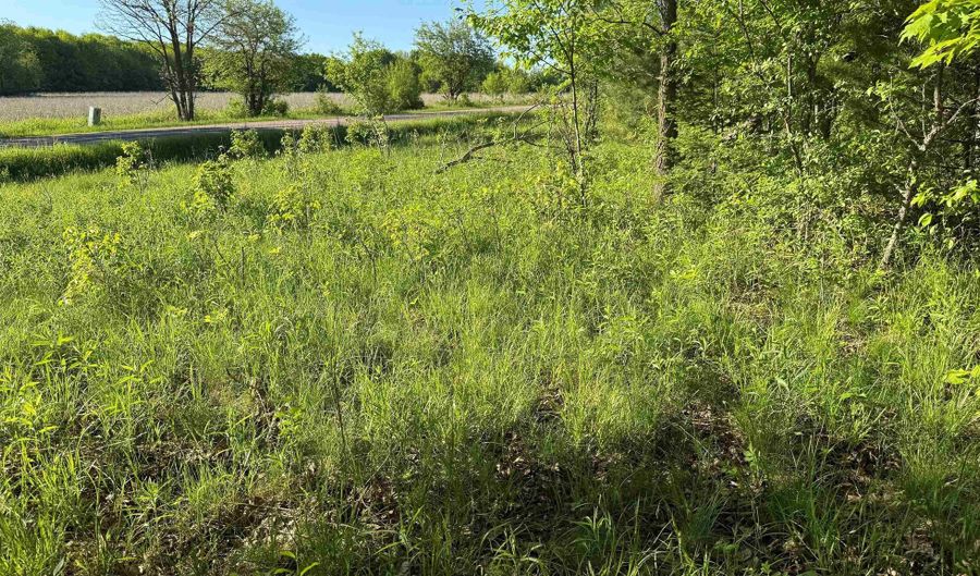 COUNTY ROAD Z lot 4, Aniwa, WI 54408 - 0 Beds, 0 Bath