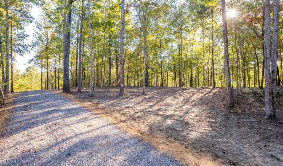 LOT 1 ROCK RIDGE SUBDIVISION, Arley, AL 35541 - 0 Beds, 0 Bath