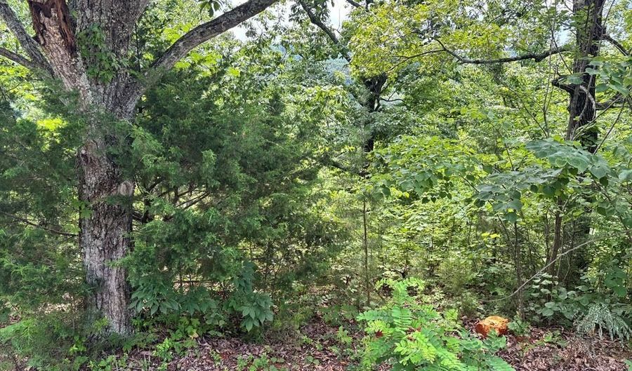 1 31 AC Wood River Ln, Allons, TN 38541 - 0 Beds, 0 Bath