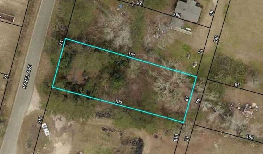 N Hazel Ave, Andrews, SC 29510 - 0 Beds, 0 Bath