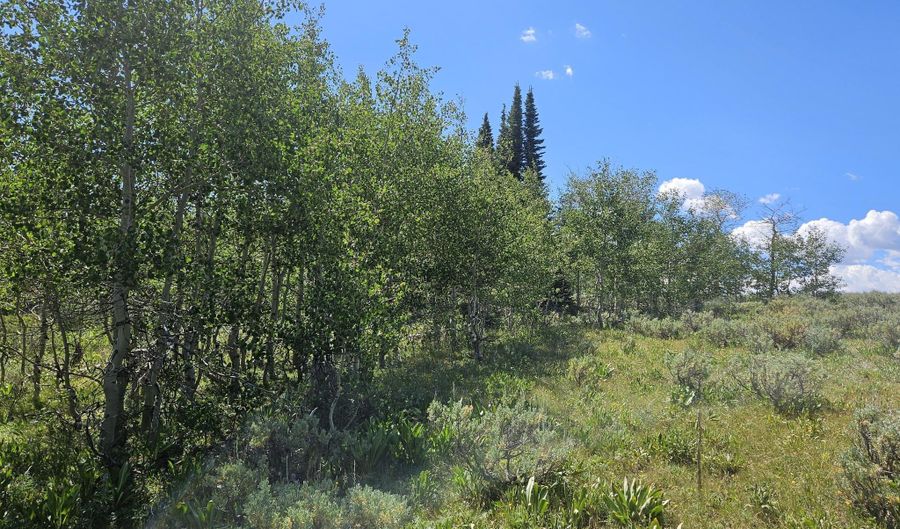 TRACK 12 ASPEN RIDGE Road, Daniel, WY 83115 - 0 Beds, 0 Bath