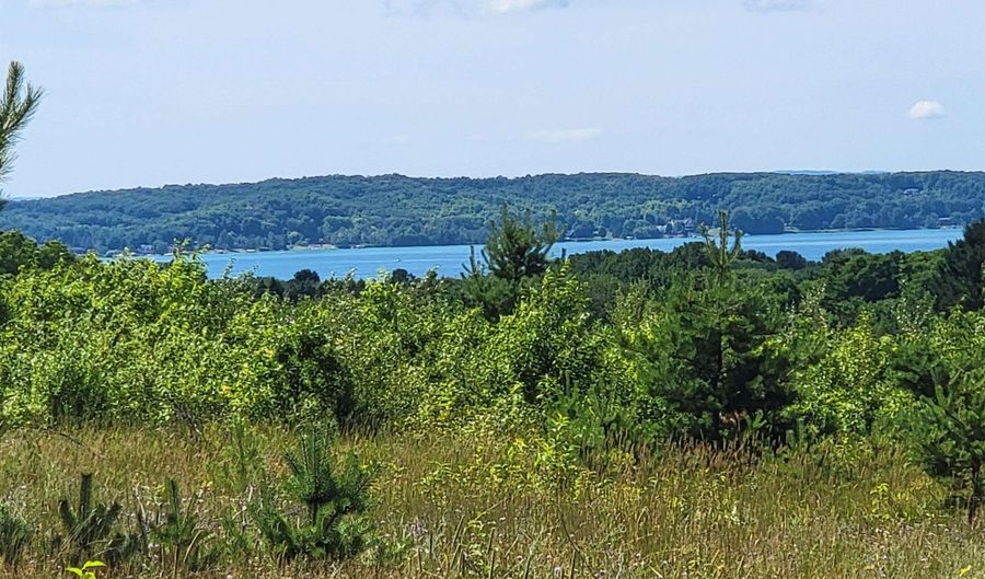 Parcel D Cemetery Road, Alden, MI 49612 - 0 Beds, 0 Bath