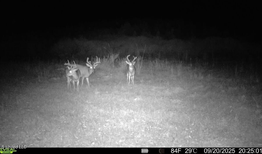 Ebenezer Church Road, Bassfield, MS 39421 - 0 Beds, 0 Bath