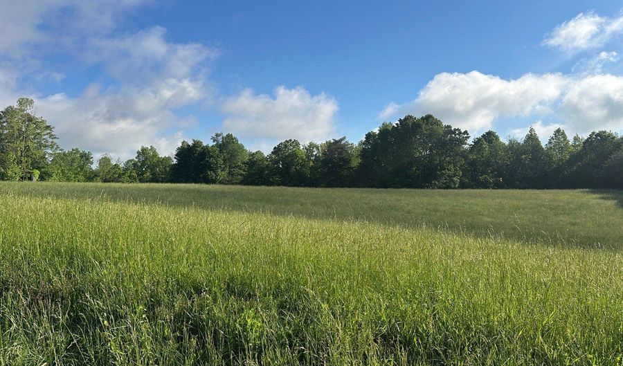 1 Speck Rd./Pittman Rd, Albany, KY 42602 - 0 Beds, 0 Bath