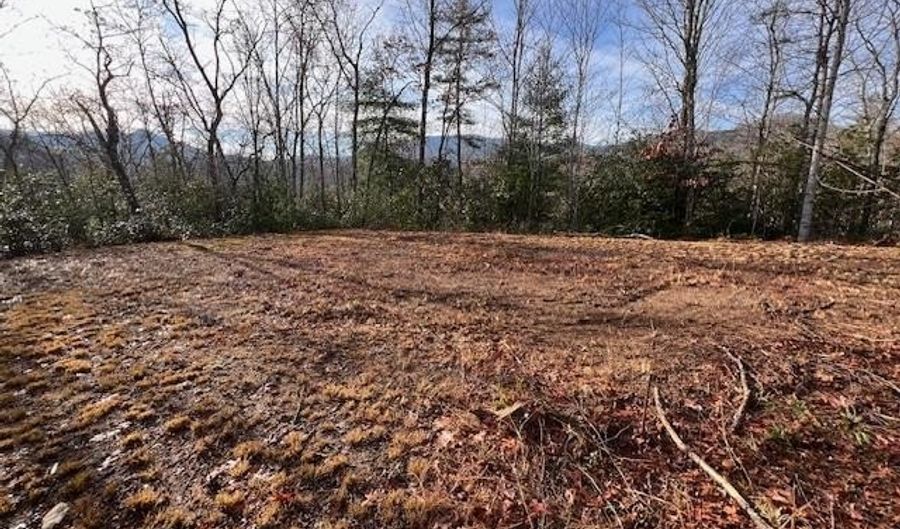 Tobacco Branch Road lot # 2, Almond, NC 28702 - 0 Beds, 0 Bath