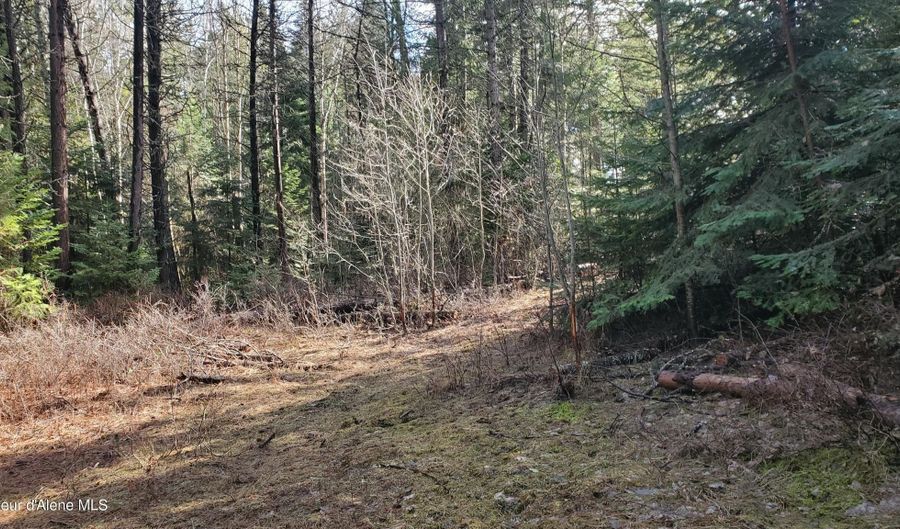 NKA Collins Road, Athol, ID 83801 - 0 Beds, 0 Bath