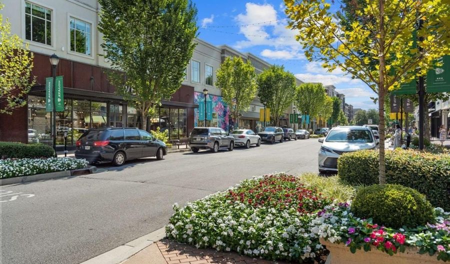 677 Soul Aly 148, Alpharetta, GA 30009 - 4 Beds, 4 Bath