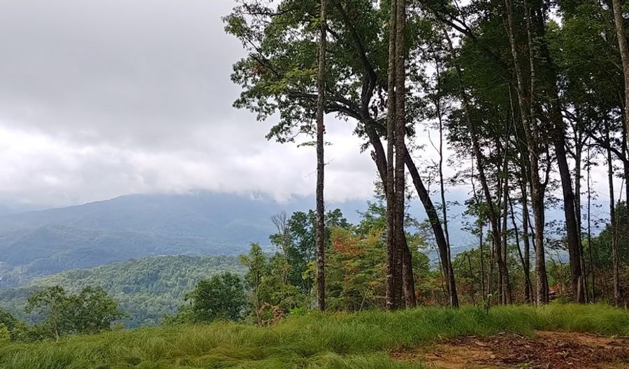 Lot 50 Valley Overlook Trail, Bryson City, NC 28713 - 0 Beds, 0 Bath