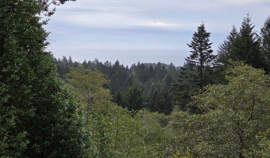 96420 ALDER RIDGE Rd, Brookings, OR 97415 - 3 Beds, 2 Bath