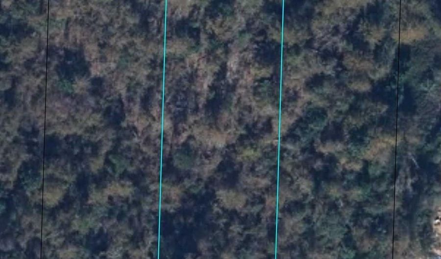 Drew Hall lot 9-10, Altha, FL 32421 - 0 Beds, 0 Bath