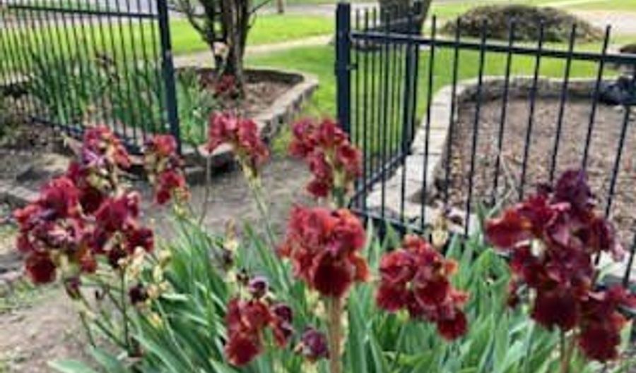 130 S Pine St, Arcola, IL 61910 - 3 Beds, 3 Bath