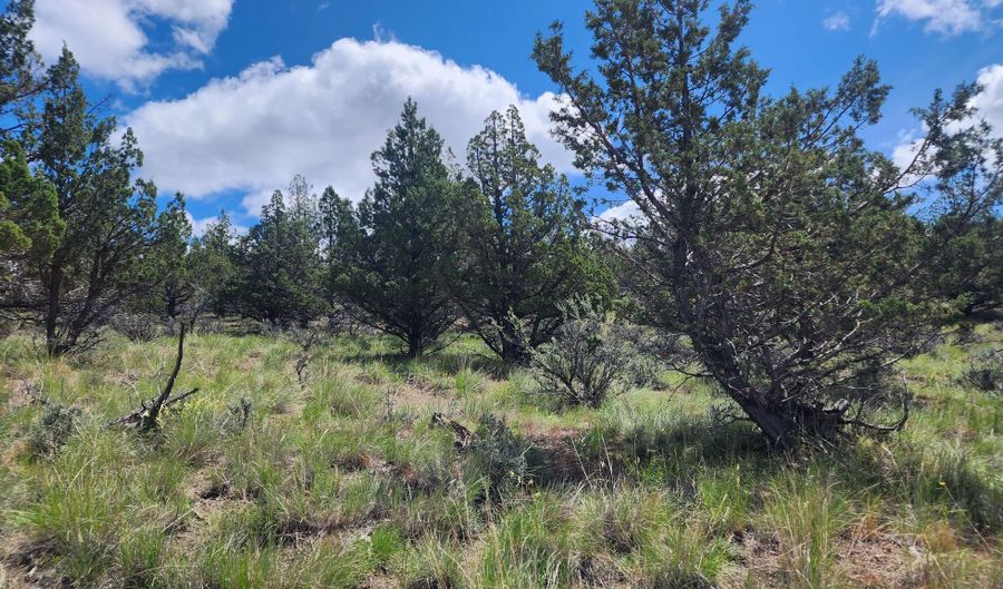 TBD SE Terrible Trail, Prineville, OR 97754 - 0 Beds, 0 Bath