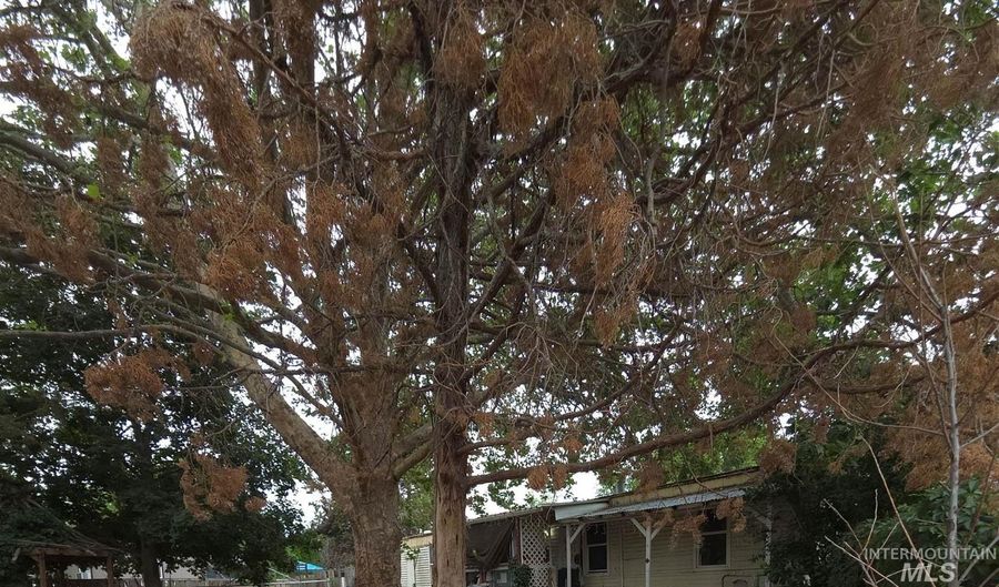15919 Sundown Dr, Caldwell, ID 83607 - 2 Beds, 1 Bath