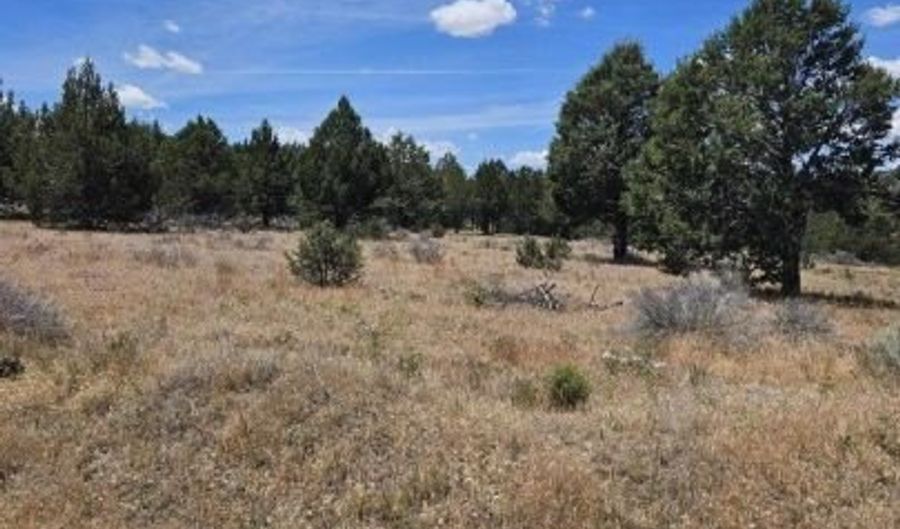 Pintail Dr, Alturas, CA 96101 - 0 Beds, 0 Bath