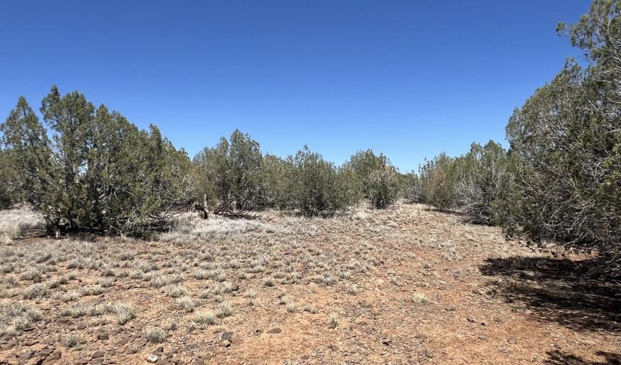 10 N2 Off Of Looking Glass, Ash Fork, AZ 86320 - 0 Beds, 0 Bath