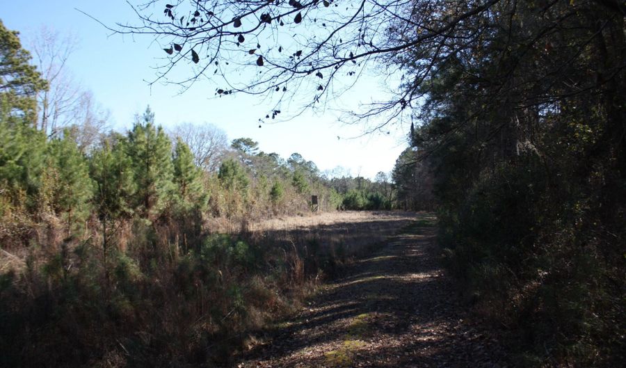 2650 Joe Miley Rd, Brunson, SC 29911 - 0 Beds, 0 Bath