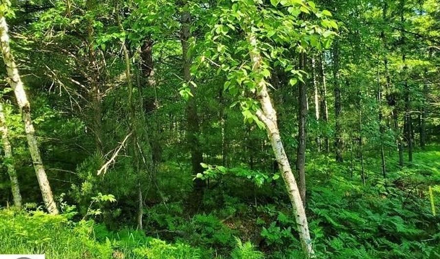 Hillside Drive lot 62, Alger, MI 48610 - 0 Beds, 0 Bath