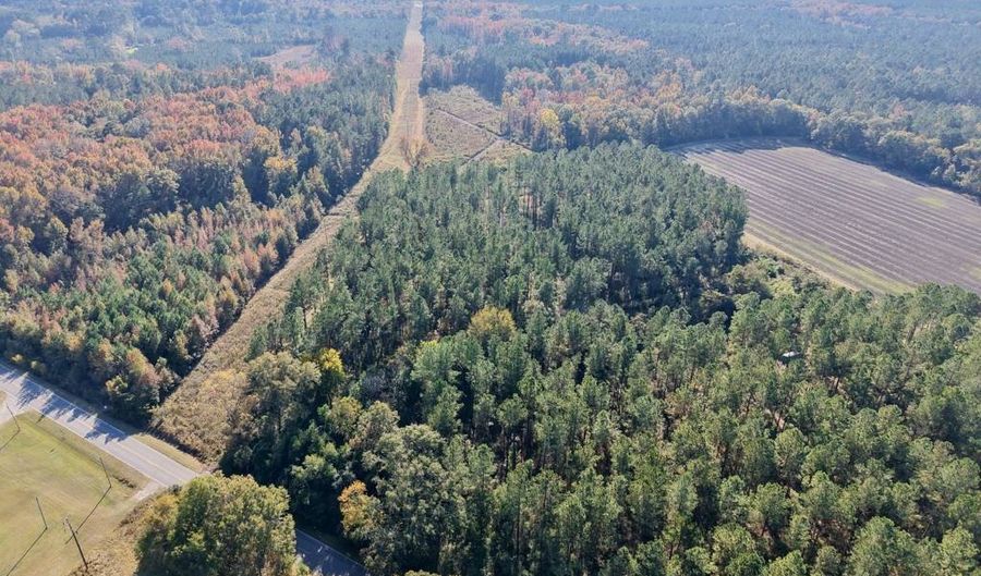 TBD Binnicker Bridge Road, Bamberg, SC 29003 - 0 Beds, 0 Bath