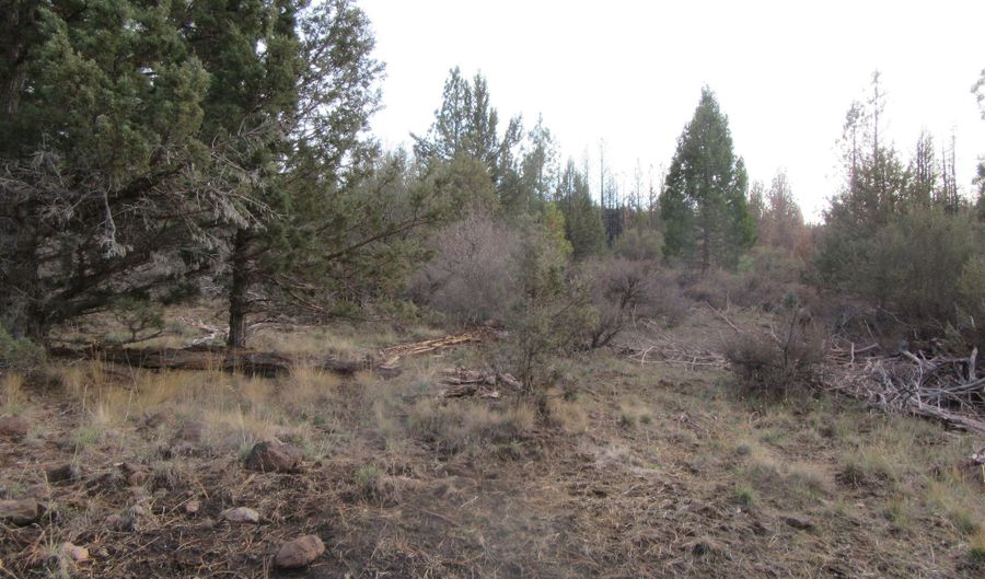 Polar Bear Lane lot 3, Bonanza, OR 97623 - 0 Beds, 0 Bath