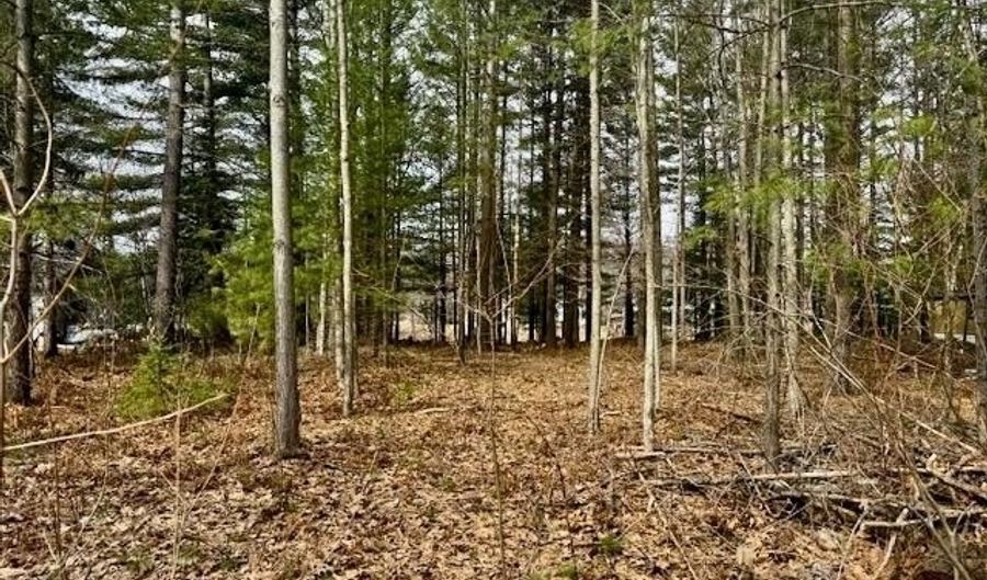 4535 River Lane St, Alger, MI 48610 - 0 Beds, 0 Bath
