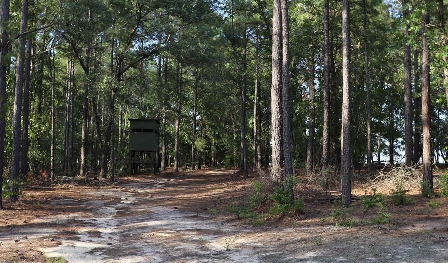 2631 Charlie Johnson Rd, Bethune, SC 29009 - 0 Beds, 0 Bath