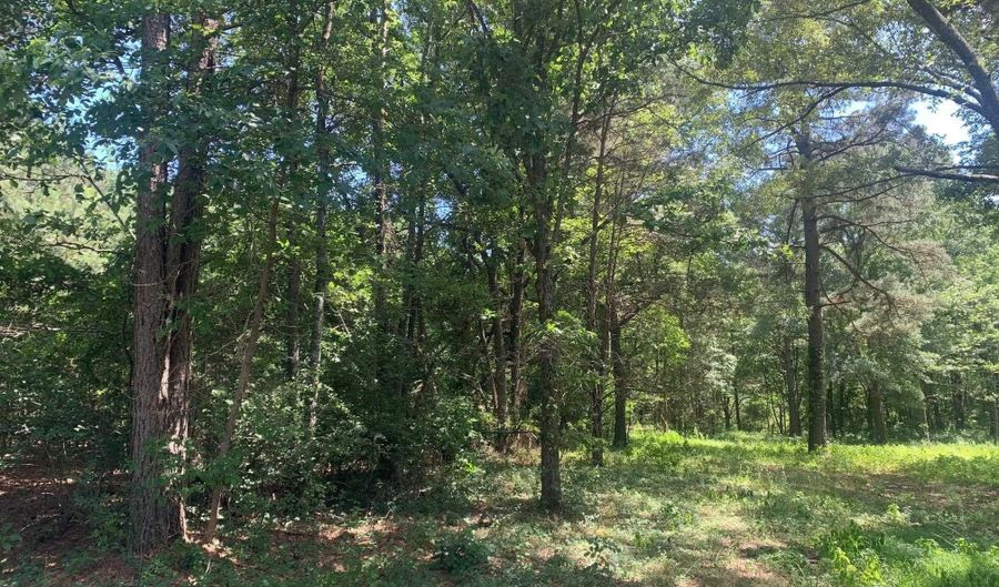 365 Skinner Rd, Austin, AR 72007 - 0 Beds, 0 Bath