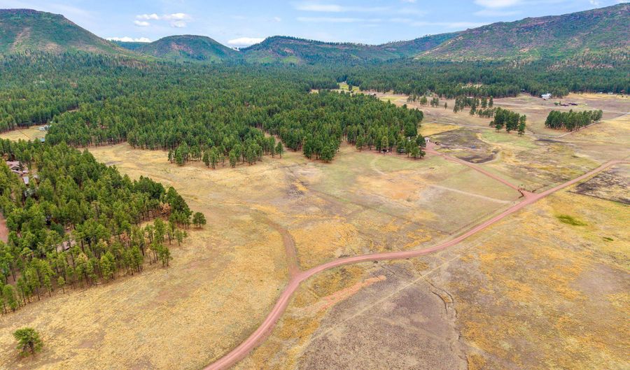 3 County Rd. N2157 Parcel 3, The Meadows Edge, Alpine, AZ 85920 - 0 Beds, 0 Bath