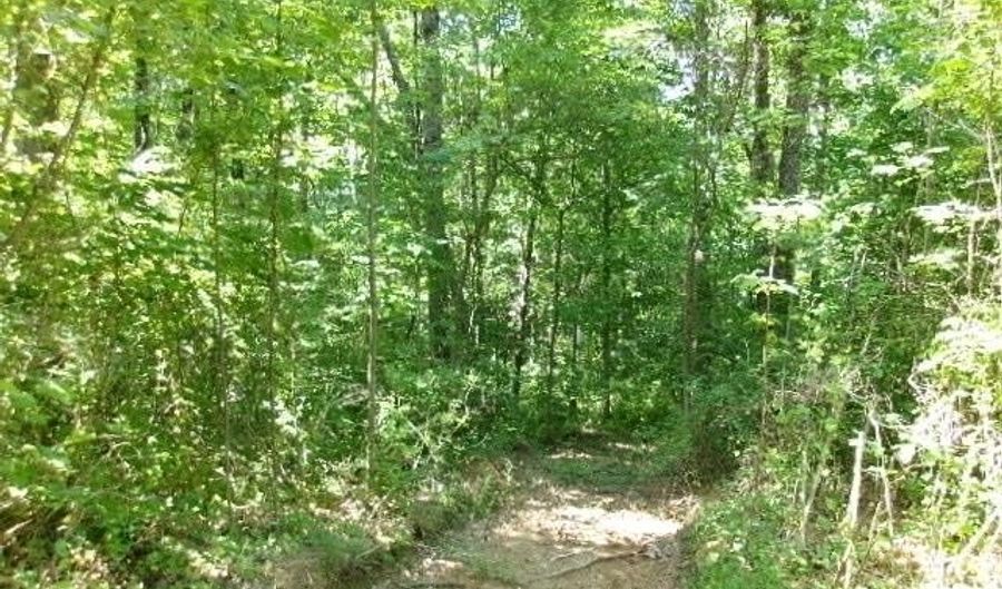N Ferry Road, Bloomfield, IN 47424 - 0 Beds, 0 Bath