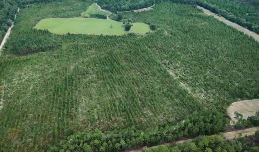 4601 Seven Pines Rd Lot 4 & 1, Barnwell, SC 29812 - 0 Beds, 0 Bath
