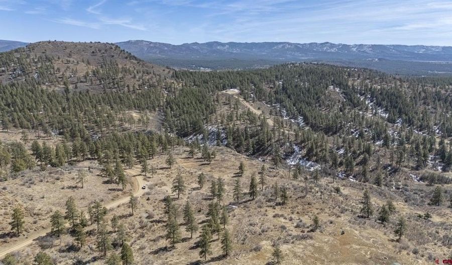 TBD Lot 4 Beaver Creek Ranch Drive, Bayfield, CO 81122 - 0 Beds, 0 Bath
