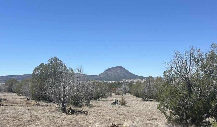 10 S2 Off Of Looking Glass, Ash Fork, AZ 86320 - 0 Beds, 0 Bath