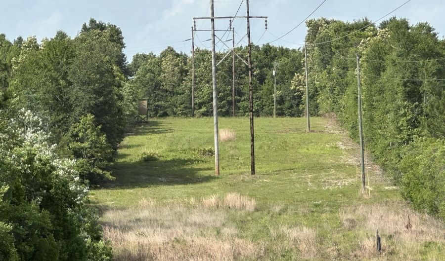 Parcel A Old River Road, Baker, FL 32531 - 0 Beds, 0 Bath