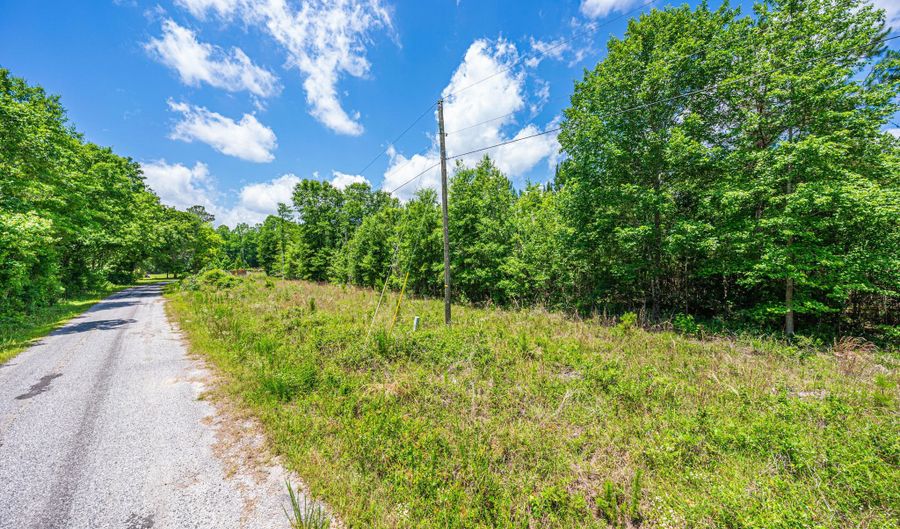 1 Park Cir, Branchville, SC 29432 - 0 Beds, 0 Bath