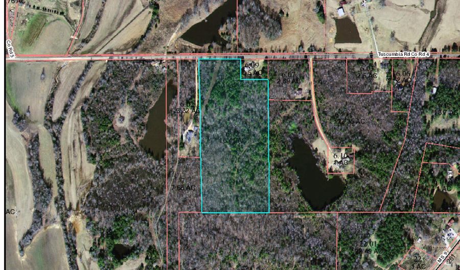 16 Acres Tuscumbia Rd, Blue Springs, MS 38828 - 0 Beds, 0 Bath