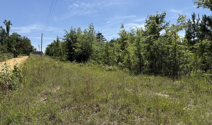 Lot # 1 - 6.2 Ac Perry Horton, Adrian, GA 31002 - 0 Beds, 0 Bath