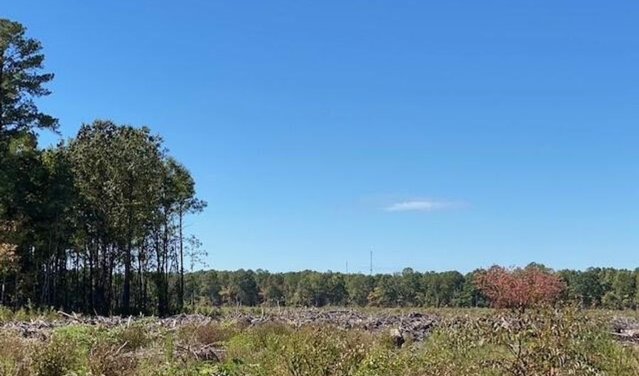 Ahoskie Cofield Road, Ahoskie, NC 27910 - 0 Beds, 0 Bath