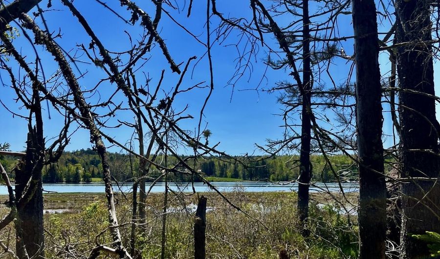 1572 State Highway 102, Bar Harbor, ME 04609 - 0 Beds, 0 Bath