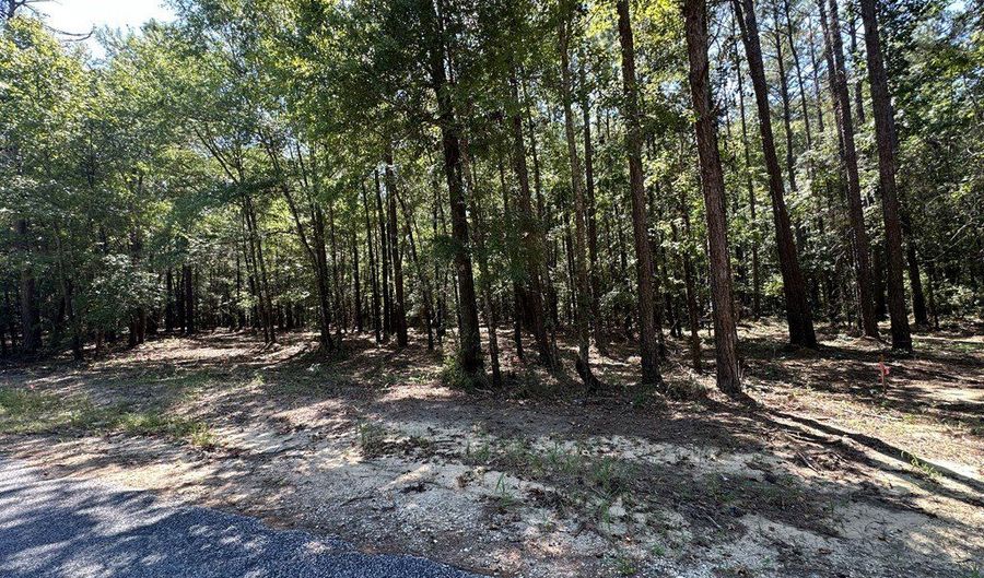 252 Pebble Cove Rd, Abbeville, AL 36310 - 0 Beds, 0 Bath