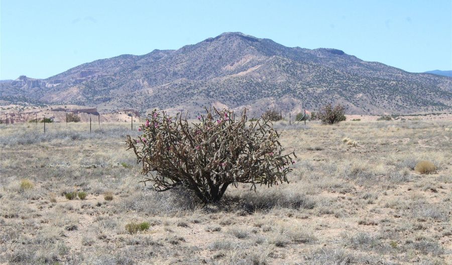 Laredowood Drive, Abiquiu, NM 87510 - 0 Beds, 0 Bath
