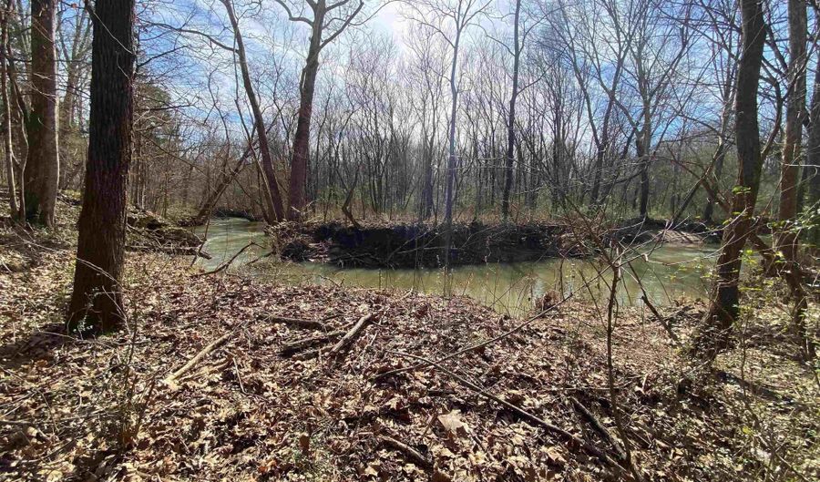 0 HIGHWAY 231 Tract - 27+/- Ac, Ashville, AL 35953 - 0 Beds, 0 Bath