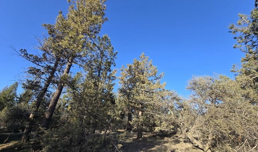 Night Owl Drive 26, Bonanza, OR 97623 - 0 Beds, 0 Bath