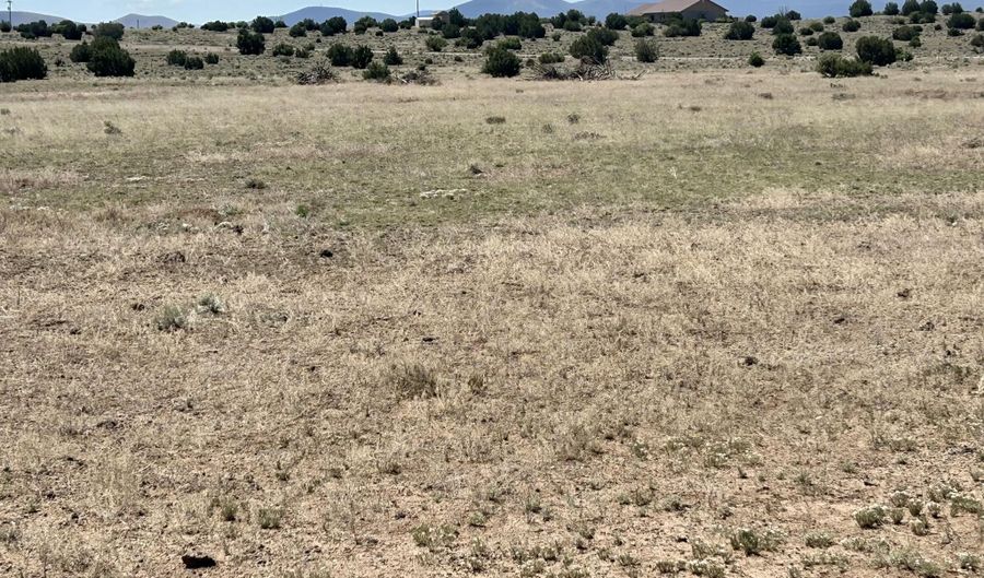 Windsor Valley Ranch Lot 135, Concho, AZ 85924 - 0 Beds, 0 Bath