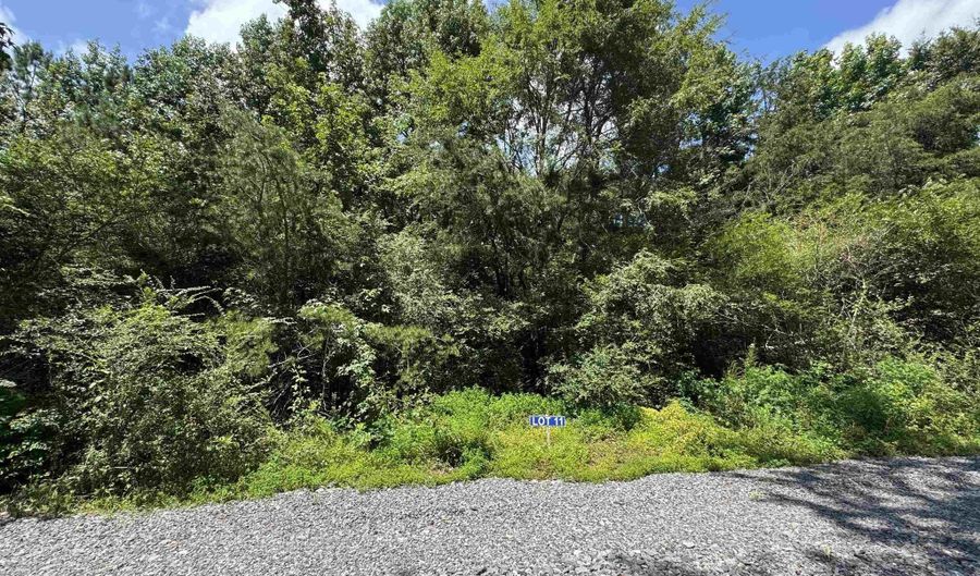 11 Hogs Ln, Albertville, AL 35951 - 0 Beds, 0 Bath