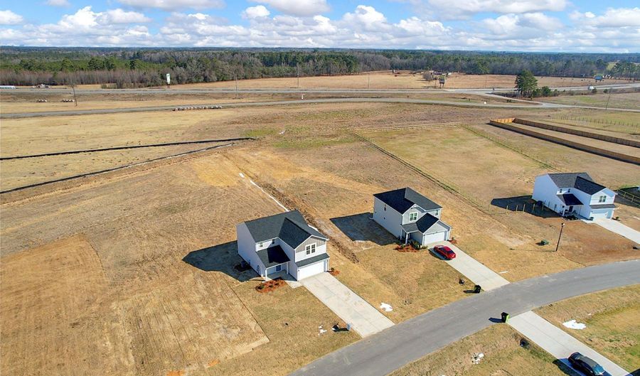 208 Buggy Top Ln, Autryville, NC 28318 - 3 Beds, 3 Bath