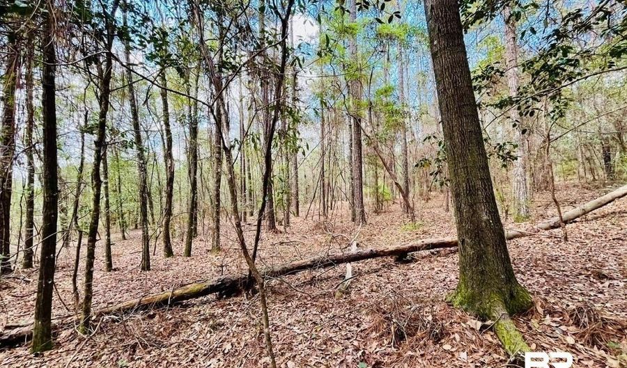 002 Phillipsville Rd, Bay Minette, AL 36507 - 0 Beds, 0 Bath