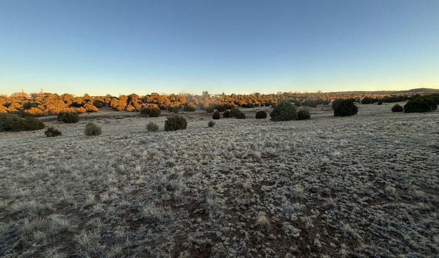 4970 Hollyhock St, Clay Springs, AZ 85923 - 0 Beds, 0 Bath