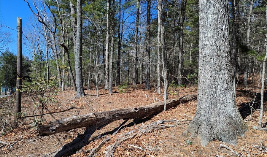 Lot 1 Chinquapin Hill, Black Mountain, NC 28711 - 0 Beds, 0 Bath