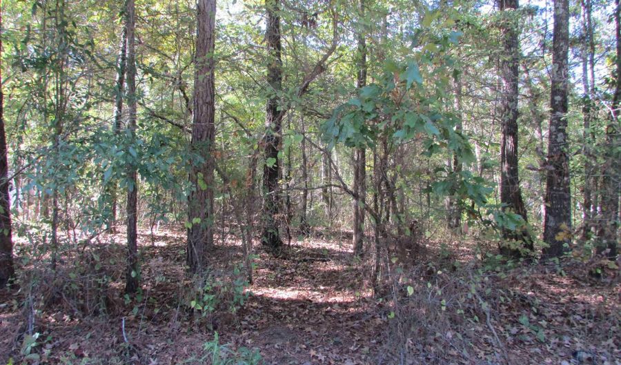 OKLAHOMA STREET, Bastrop, LA 71220 - 0 Beds, 0 Bath