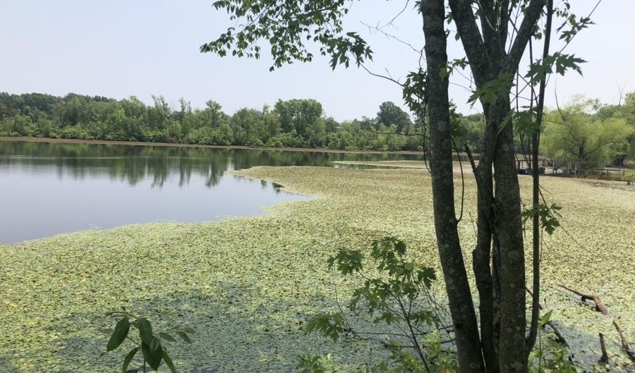 676 County Road 403, Alton, MO 65606 - 0 Beds, 0 Bath