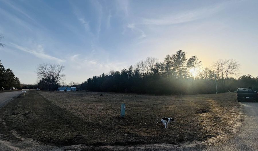 Birch Drive, Adams, WI 53910 - 0 Beds, 0 Bath